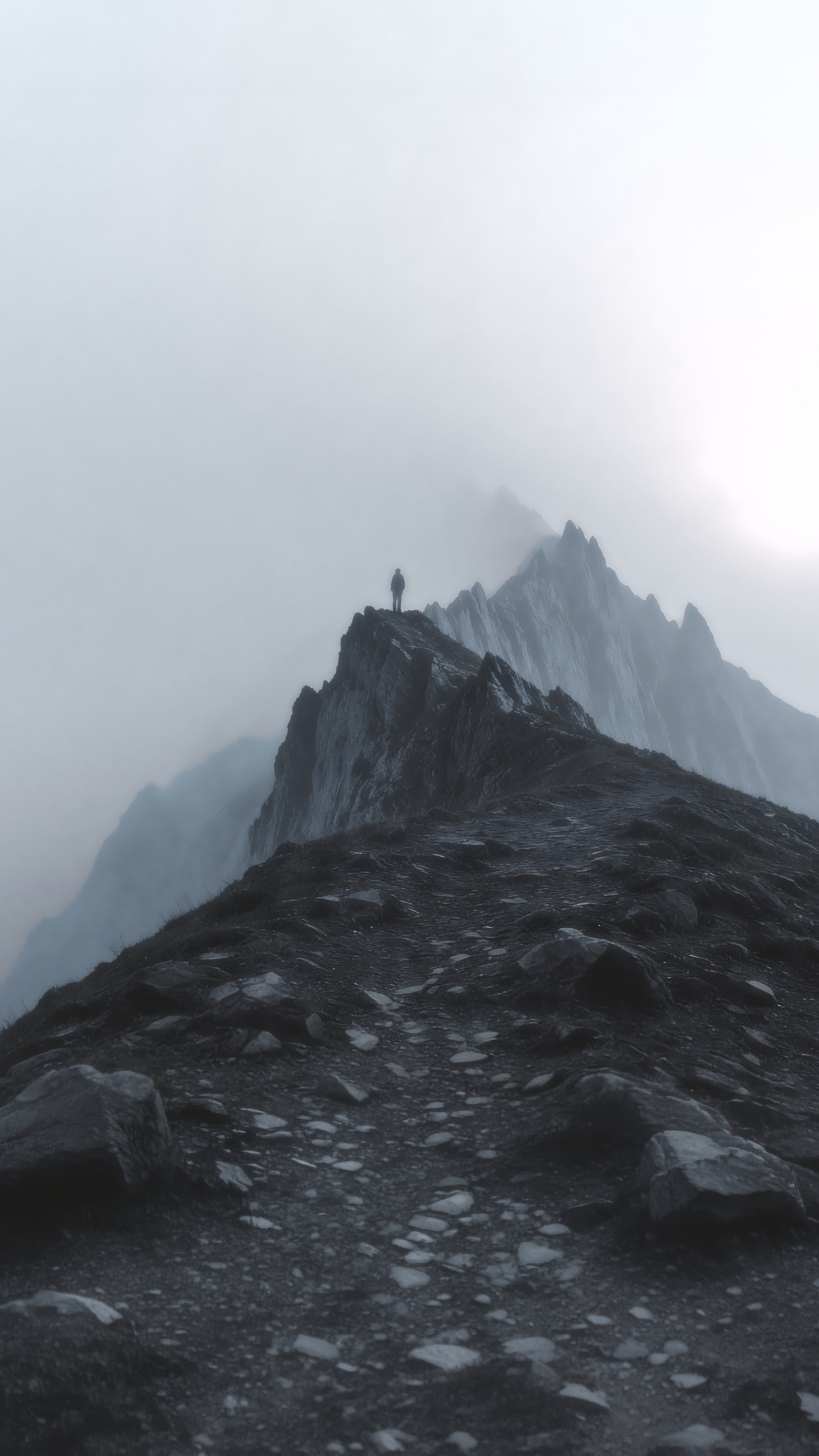 Moncler Tailgrip LP Footwear Collection