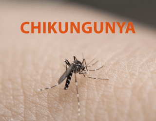 Chikungunya