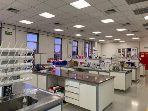lab-rbi