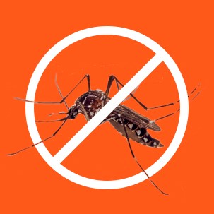 Elimina Mosquitos Causadores de Doenças