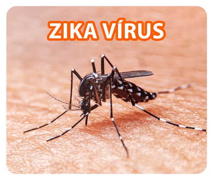 Zika Vírus