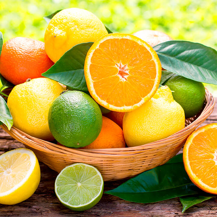  energia-citrus