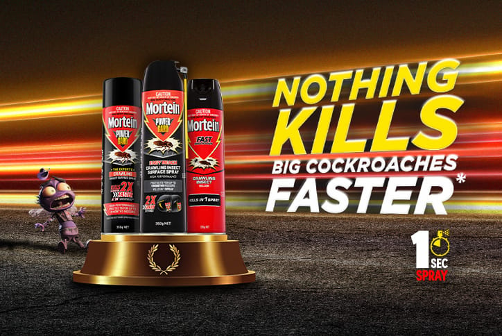 Nothing-kills-faster-listing-page