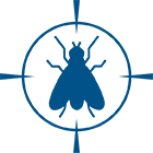 HOUSE FLIES