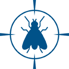 HOUSE FLIES