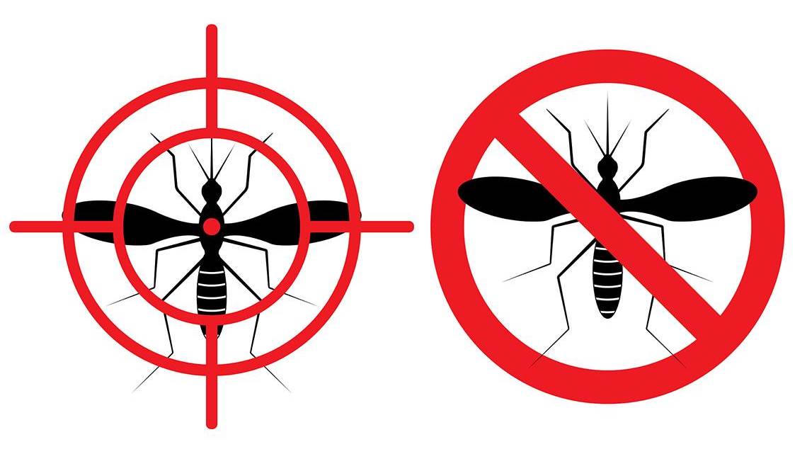 mosquitoesbite