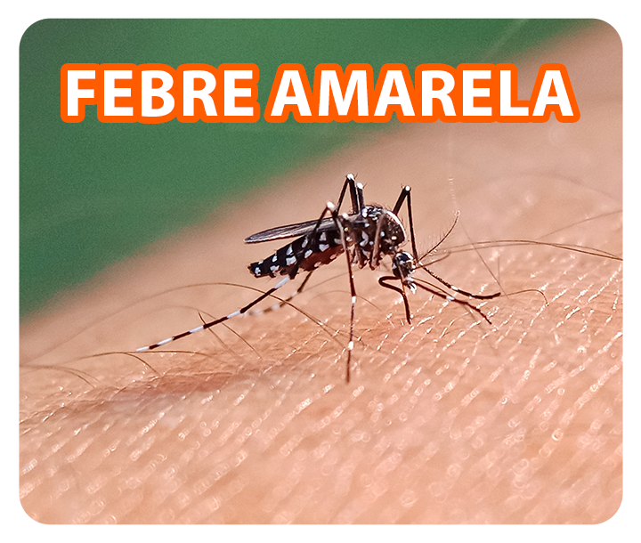Febre Amarela