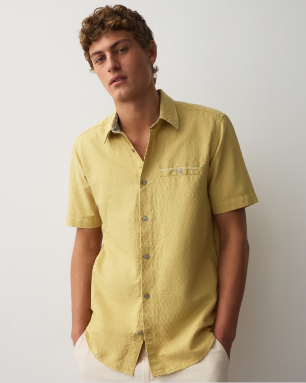 Tendance : lin