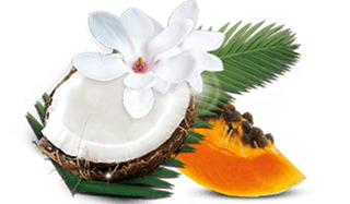 airwick_fragrances_19_tropical