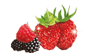 airwick_fragrances_110_fruity_a
