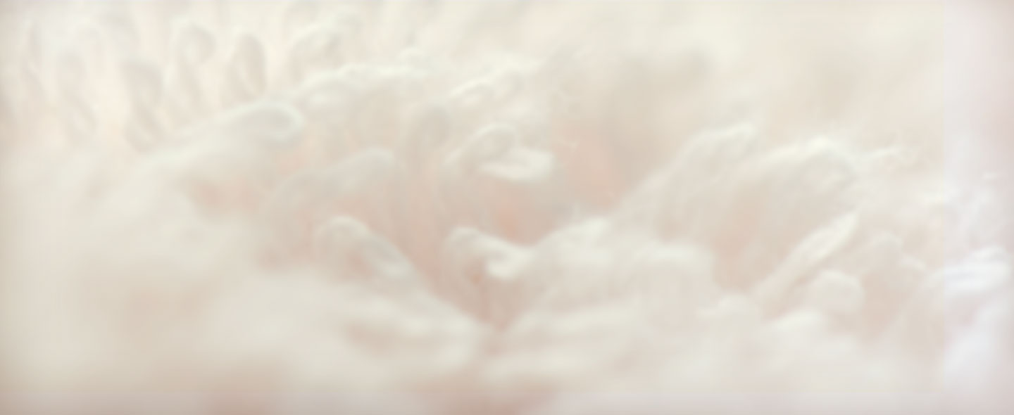 airwick