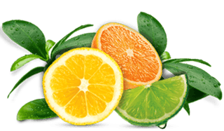 airwick_fragrances_11_citrus