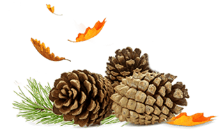 airwick_fragrances_17_outdoor