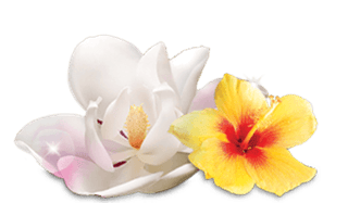 airwick_fragrances_12_floral