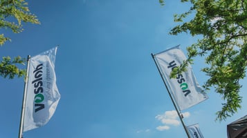 Adjustment of Sales Revenues and Earnings Guidance