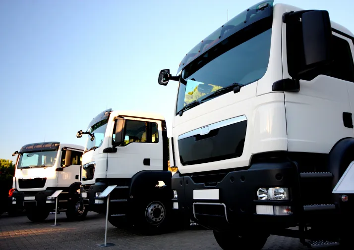 Transport-Netherlands.webp